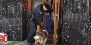 群众爱犬“离家出走” 民警暖心帮助寻回