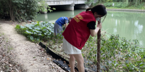 毁绿种菜是“添乱”，坚决治理不姑息